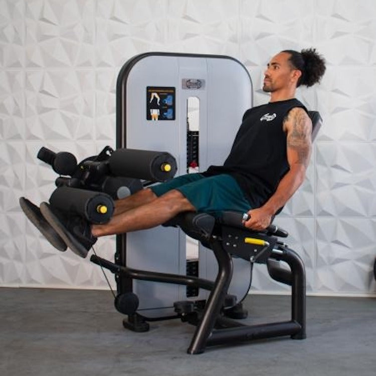 Muscle D Fitness Leg Extension/Seated Leg Curl Station